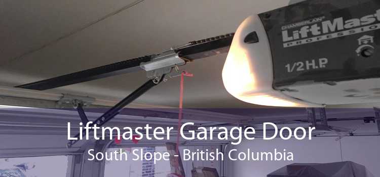 Liftmaster Garage Door South Slope - British Columbia