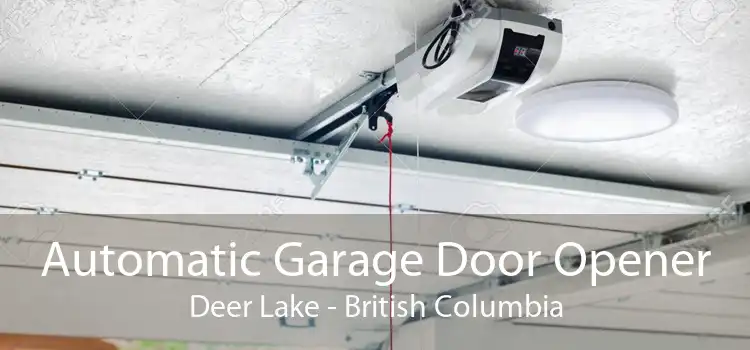 Automatic Garage Door Opener Deer Lake - British Columbia