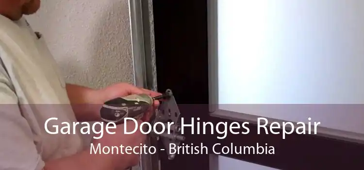 Garage Door Hinges Repair Montecito - British Columbia