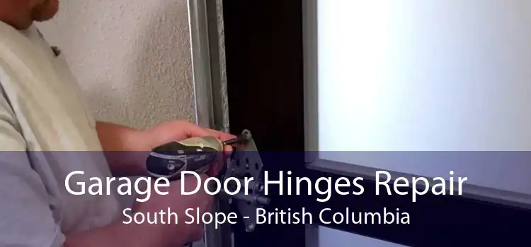 Garage Door Hinges Repair South Slope - British Columbia