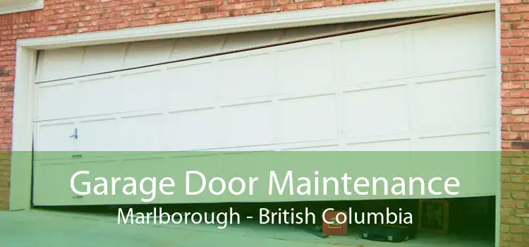 Garage Door Maintenance Marlborough - British Columbia