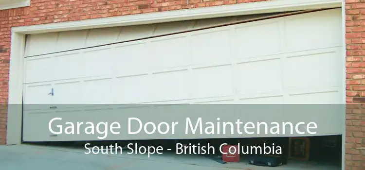 Garage Door Maintenance South Slope - British Columbia