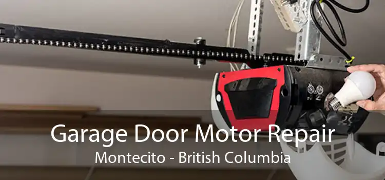 Garage Door Motor Repair Montecito - British Columbia
