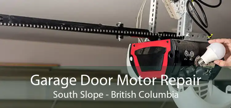 Garage Door Motor Repair South Slope - British Columbia