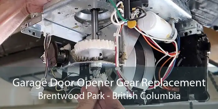 Garage Door Opener Gear Replacement Brentwood Park - British Columbia
