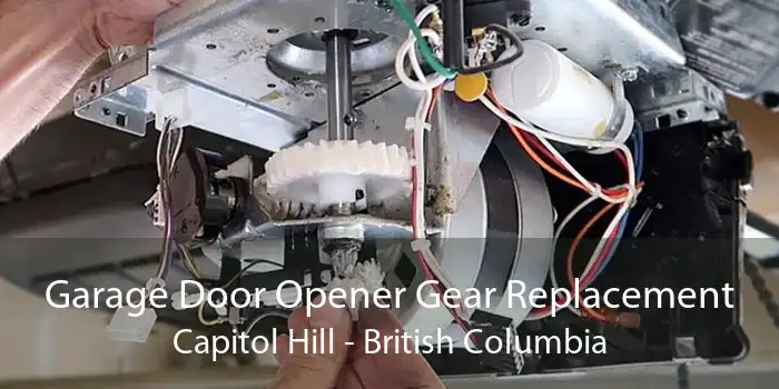 Garage Door Opener Gear Replacement Capitol Hill - British Columbia