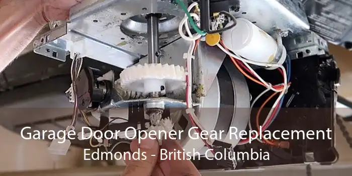 Garage Door Opener Gear Replacement Edmonds - British Columbia