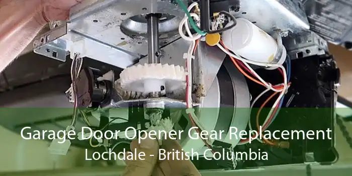 Garage Door Opener Gear Replacement Lochdale - British Columbia