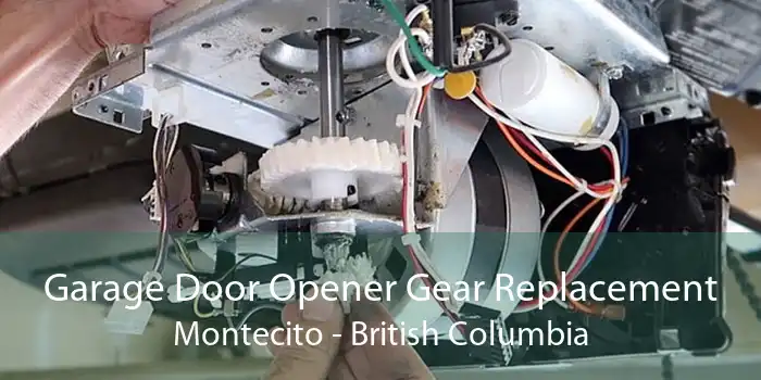 Garage Door Opener Gear Replacement Montecito - British Columbia