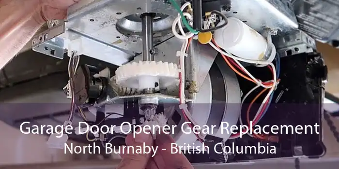 Garage Door Opener Gear Replacement North Burnaby - British Columbia