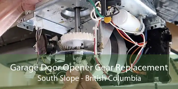Garage Door Opener Gear Replacement South Slope - British Columbia