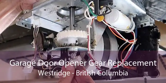 Garage Door Opener Gear Replacement Westridge - British Columbia