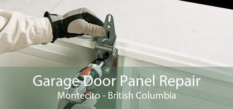 Garage Door Panel Repair Montecito - British Columbia