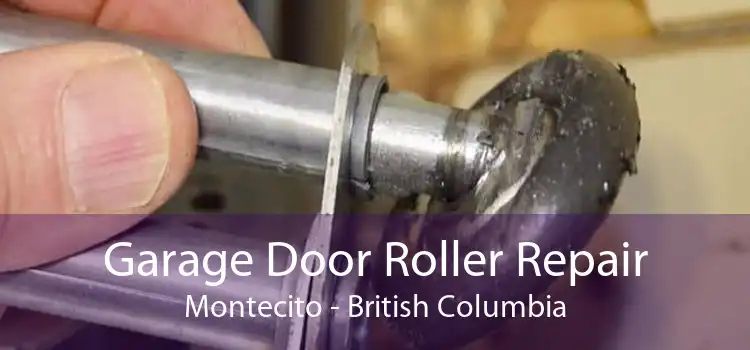 Garage Door Roller Repair Montecito - British Columbia