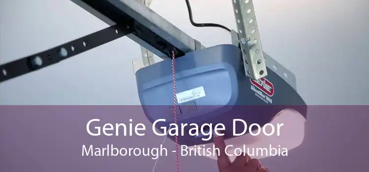 Genie Garage Door Marlborough - British Columbia
