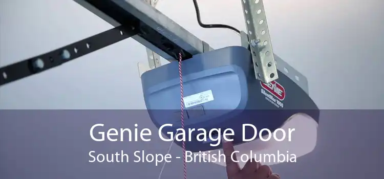 Genie Garage Door South Slope - British Columbia