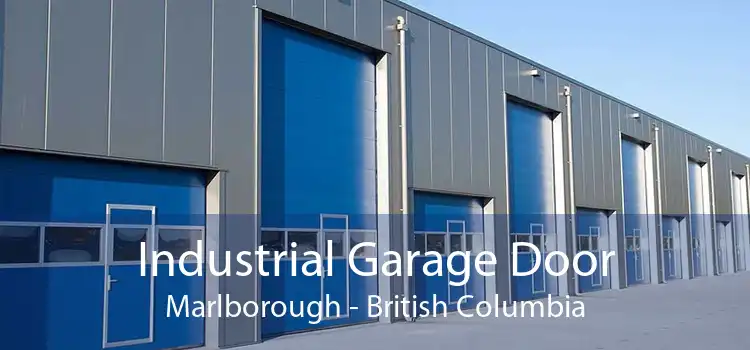 Industrial Garage Door Marlborough - British Columbia