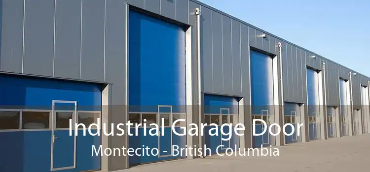 Industrial Garage Door Montecito - British Columbia