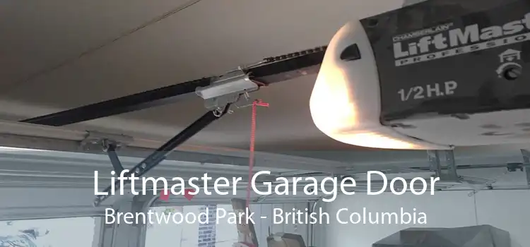 Liftmaster Garage Door Brentwood Park - British Columbia