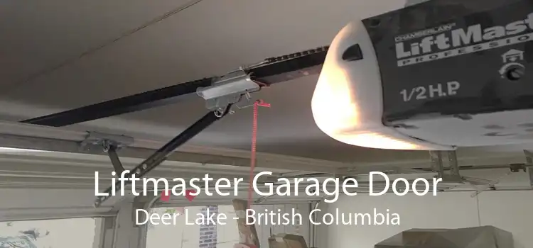 Liftmaster Garage Door Deer Lake - British Columbia