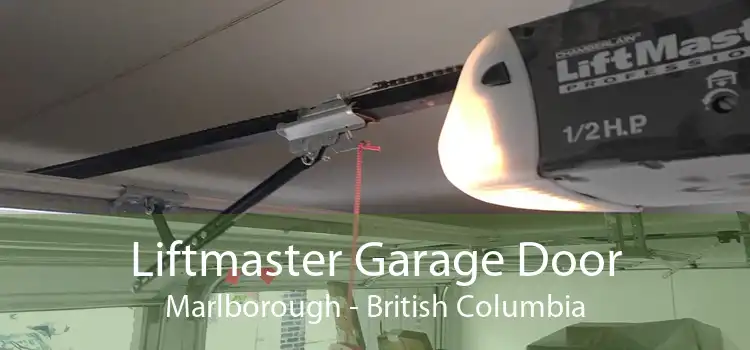 Liftmaster Garage Door Marlborough - British Columbia