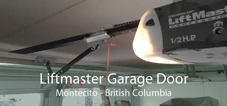Liftmaster Garage Door Montecito - British Columbia