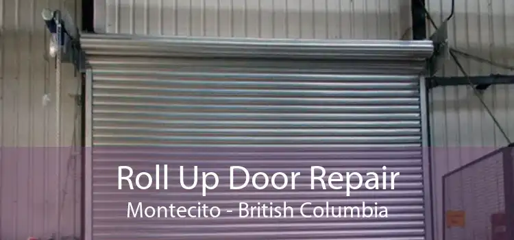 Roll Up Door Repair Montecito - British Columbia